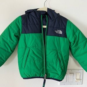The North Face Kids Puffer Jacket in Green and Navy